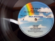 Joe Walsh Recorded Live 1076 (3) (Copy)